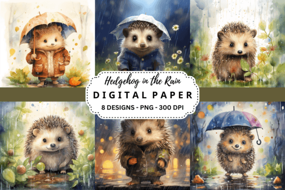 Download Hedgehog in the Rain Background - Rain background Collection
